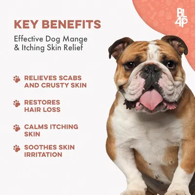 Secondary Images for Amazon.com : Mange Treatment for Dogs