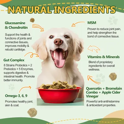 Secondary Images for Amazon.com : Dog Multivitamin