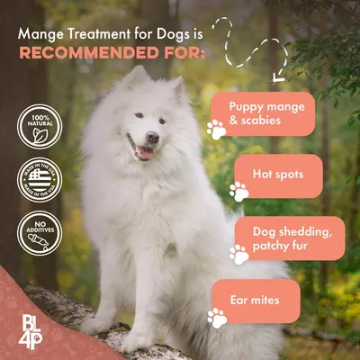 Secondary Images for Amazon.com : Mange Treatment for Dogs