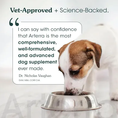 Secondary Images for Amazon.com : All-in-One Dog Supplement for Advanced Wellness & Longevity