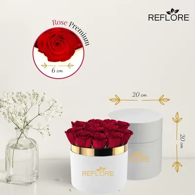 Secondary Images for REFLORE 12 Rose Stabilizzate Vere Made in Italy