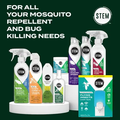 Secondary Images for Amazon.com: STEM Kills Ants