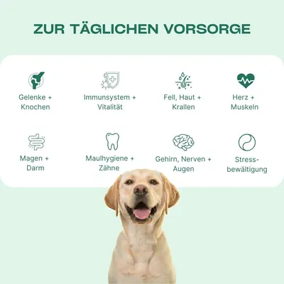 Secondary Images for DOG1 8-in-1 Nahrungsergänzungsmittel Hund (1x) mit Vitamin B Komplex und Glucosamin