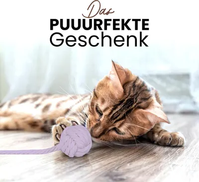 Secondary Images for Petriumph® Katzenspielzeug Angel
