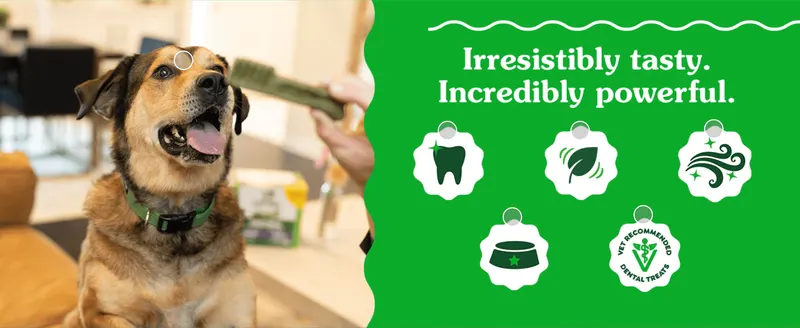 Uses a lifestyle photo paired with five icon callouts to communicate taste, natural ingredients, freshness, feeding guidance, and vet recommendation in one…