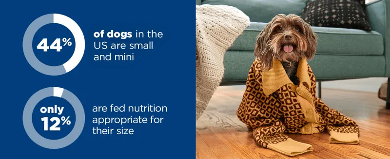 Uses population stats to highlight a nutrition gap for small dogs, positioning the product as the size-appropriate solution.
