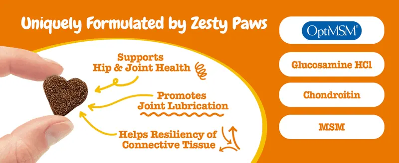 Points to the treat with multiple callouts explaining how its key ingredients support joint health, lubrication, and connective tissue.