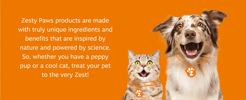 Communicates the brand's approach to ingredients and science-backed formulation to build trust with pet owners.
