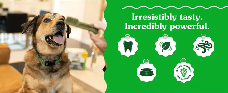 Summarizes multiple product benefits (dental, natural ingredients, freshness, portion control, vet endorsement) in a scannable icon layout. Builds trust by…