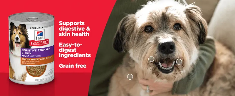 Highlights three product benefits (digestive/skin support, easy digestion, grain-free) alongside a happy dog to reassure owners of gentle nutrition.