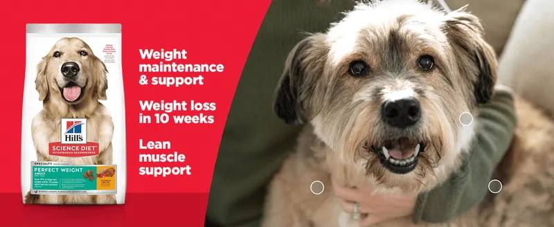 Highlights three distinct benefits of the diet - weight maintenance, measurable weight loss, and lean muscle support - to reassure pet owners of its…
